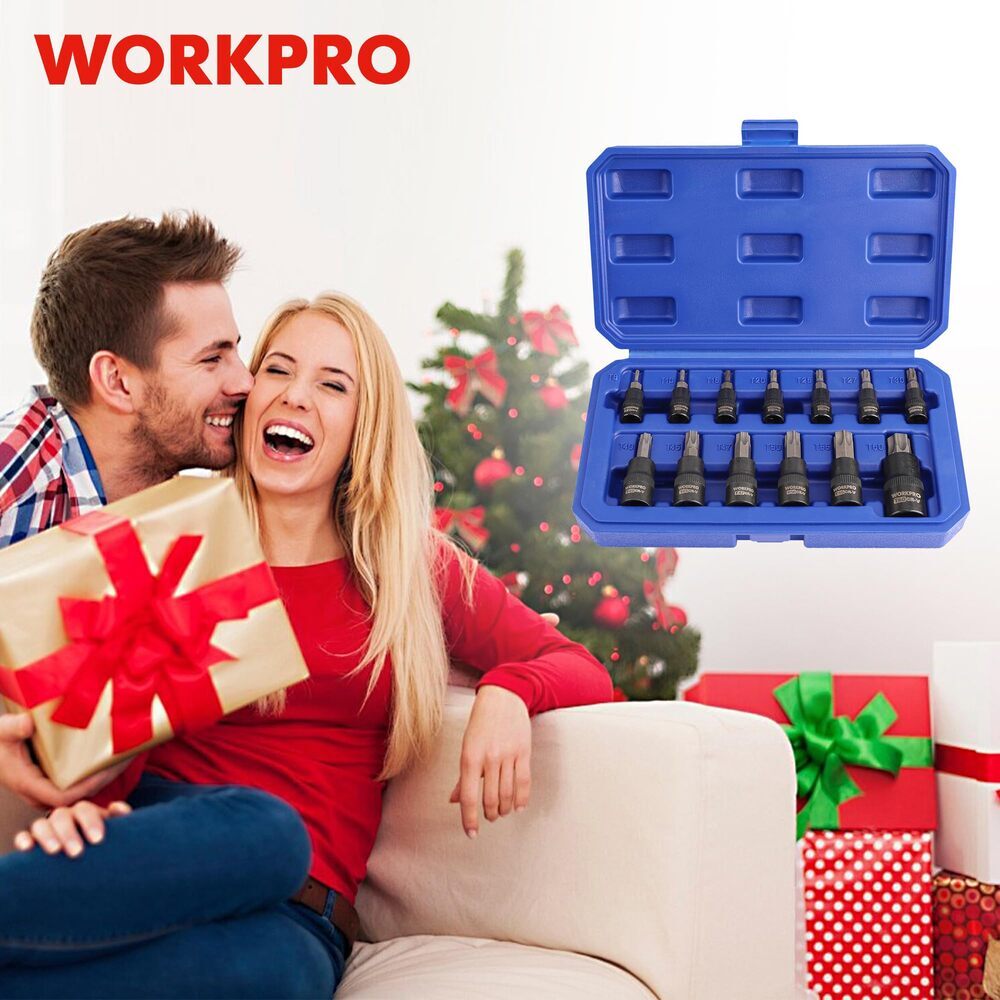 WORKPRO 13PC Torx Bit Socket Set 1/4″ 3/8″ 1/2 Drive Hex Allen Socket Set T8-T60