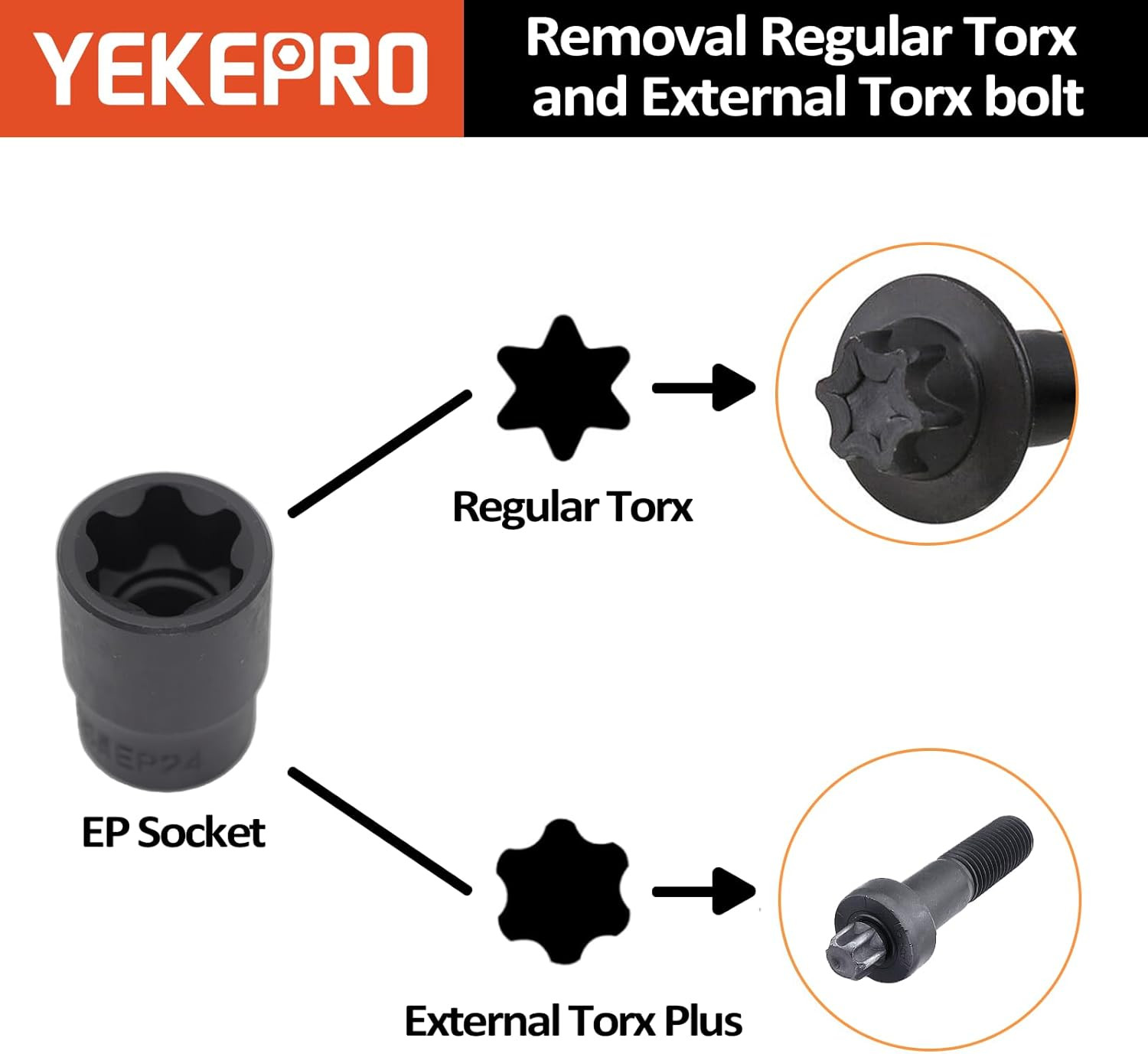 External Torx Plus 19pc Socket Set, 6 Point EP with 1/2» One Size