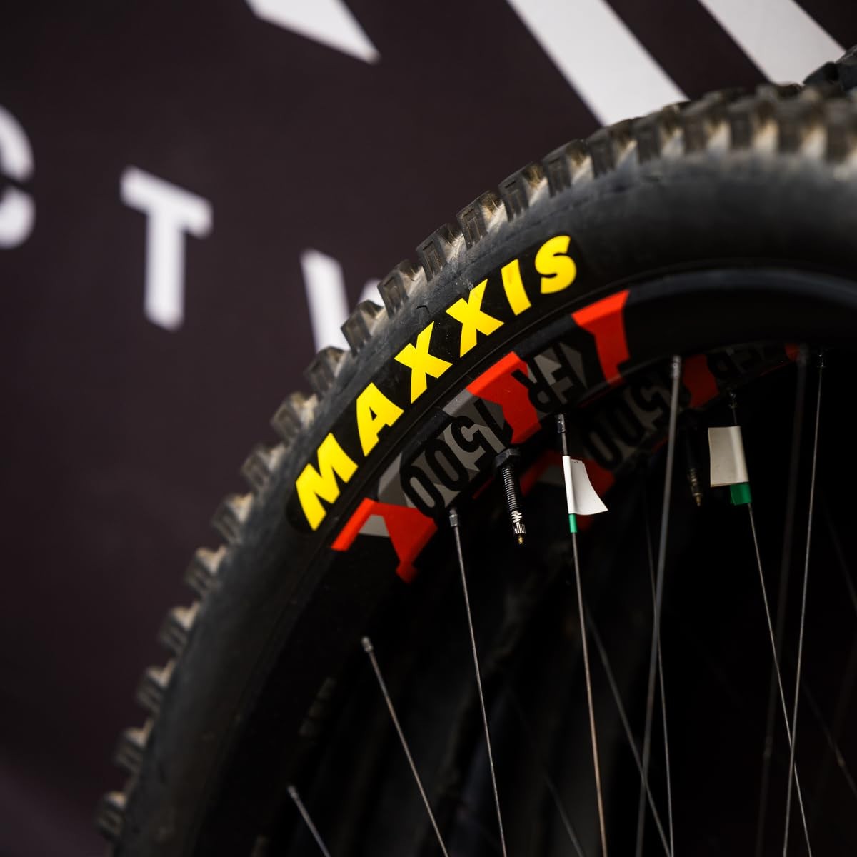 REKON Race Mountain 29X2.25 120 TPI Foldable MaxxSpeed/EXO/TR