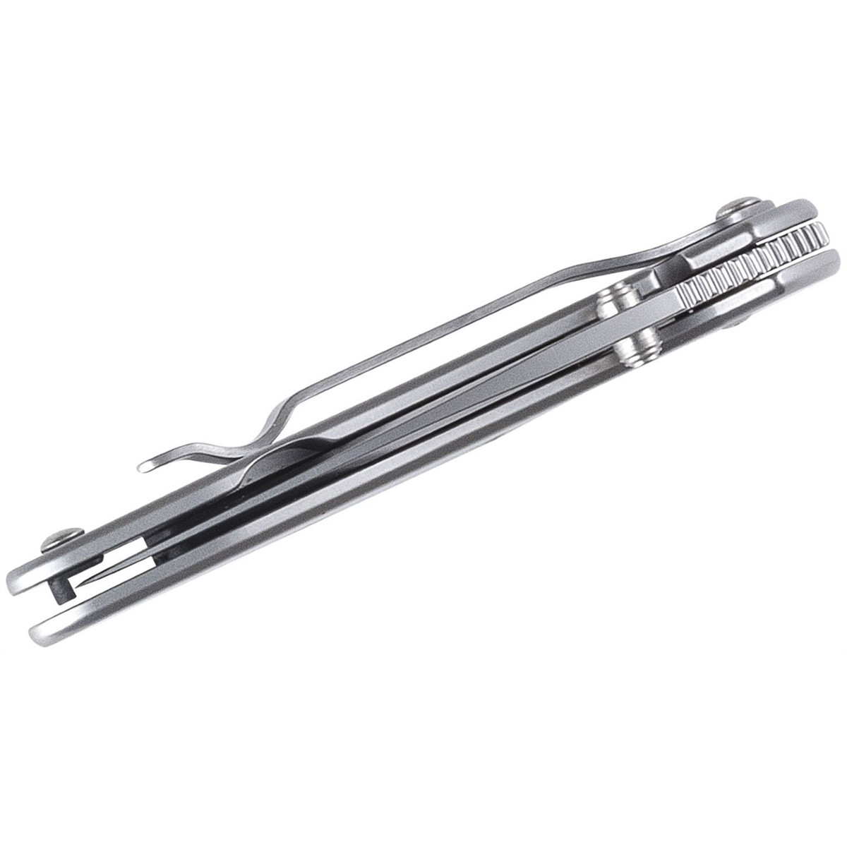Kershaw 1600 1600 Chive Knife
