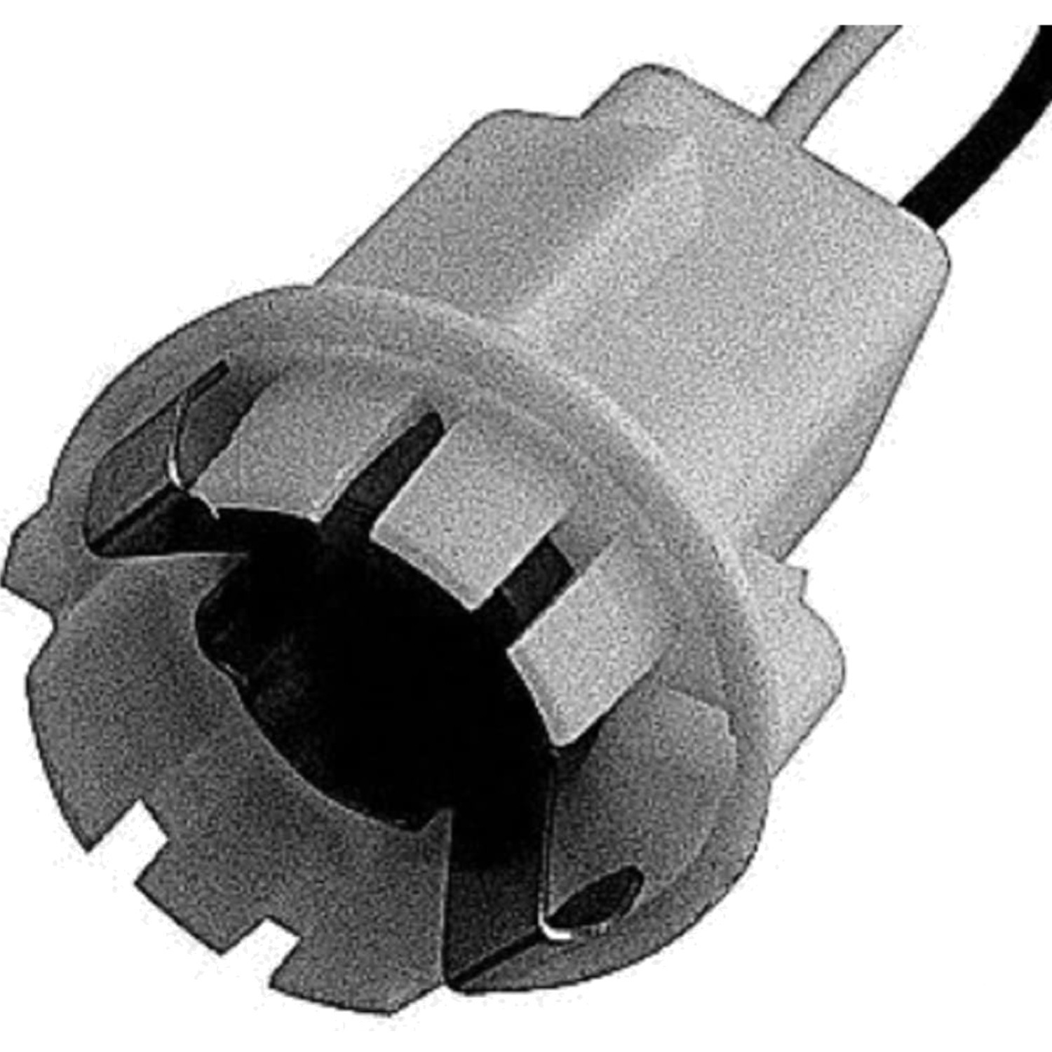 Pigtail Socket Assorted One Size