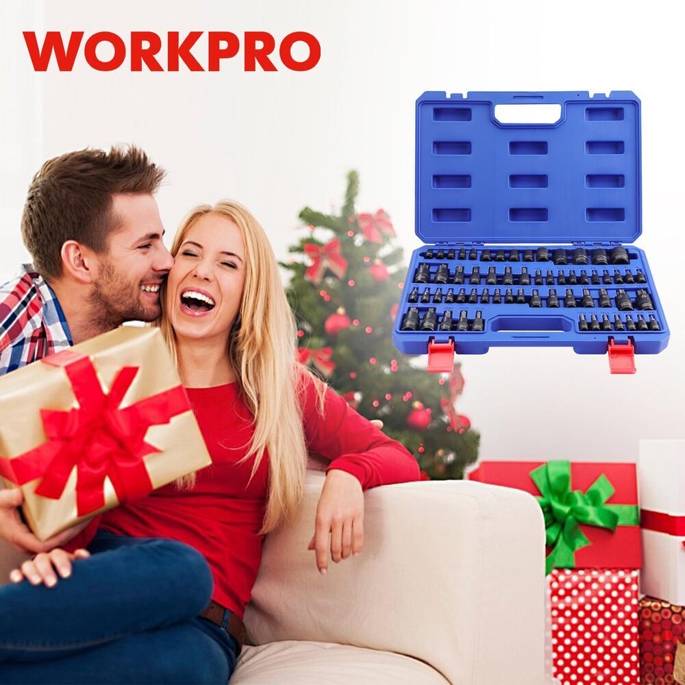WORKPRO 60PC Female E-Torx Socket E4-E24 Star Socket BitT6-T70 TT6-TT70 TP8-TP60
