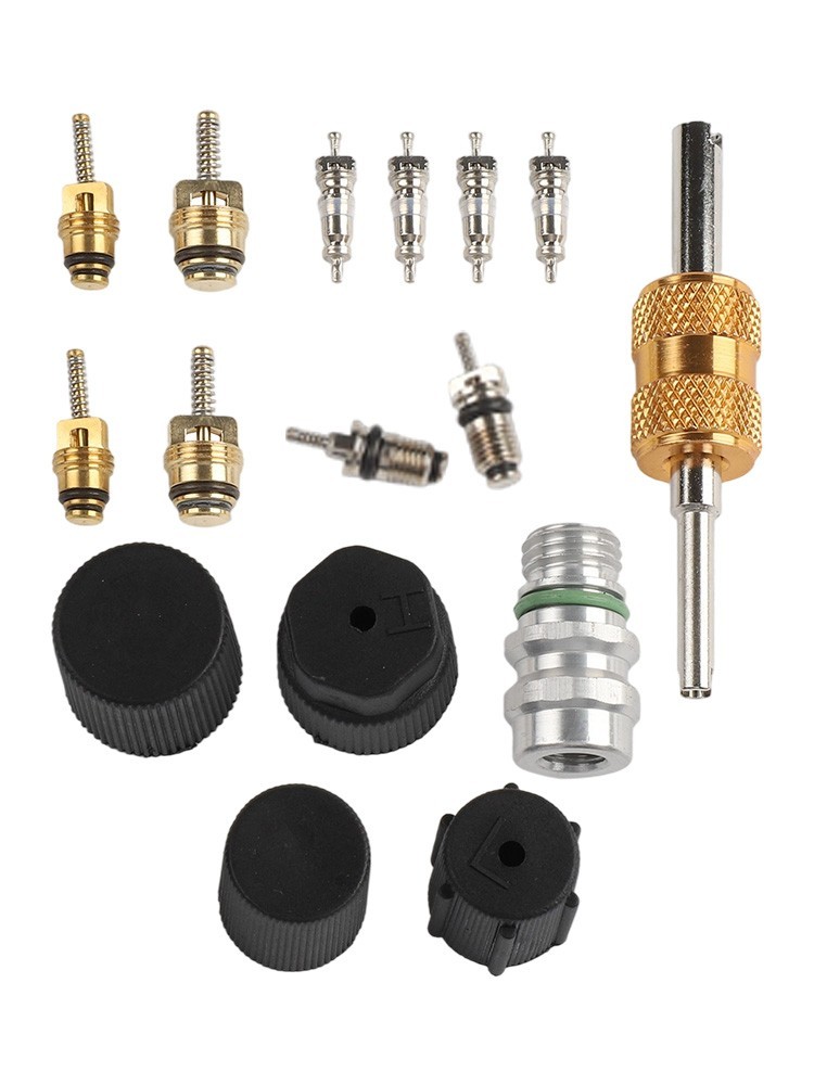 Complete AC Valve Core Kit for R12 For R134a Systems with Installation Tools